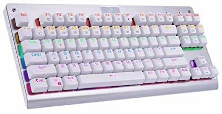 HUO JI E-Yooso Z-77 Mechanical Gaming Keyboard with Rainbow LED Backlit, Blue Switches, Tenkeyless 87 Keys Anti-Ghosting for Mac, PC, White