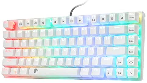 HUO JI E-Yooso Z-88 RGB Mechanical Gaming Keyboard, Metal Panel, Blue Switches – Clicky, 60% Compact 81 Keys Hot Swappable for Mac, PC, Silver and White