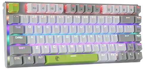HUO JI E-Yooso Z-88 RGB Mechanical Gaming Keyboard, Blue Switches, 60% Compact 81 Keys Hot Swappable for Mac, PC, White Grey Green