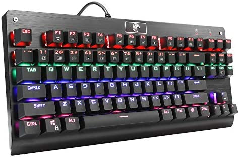 HUO JI E-Yooso Z-77 Mechanical Gaming Keyboard with Rainbow LED Backlit, Red Switches, Tenkeyless 87 Keys Anti-Ghosting for Mac, PC, Black