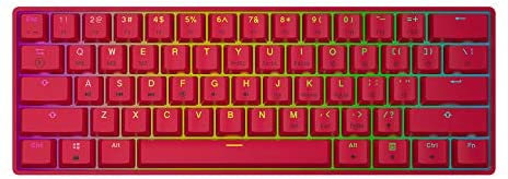 GK61s Mechanical Gaming Keyboard – 61 Keys Multi Color RGB Illuminated LED Backlit Wired Programmable for PC/Mac Gamer (Gateron Mechanical Brown, Red)