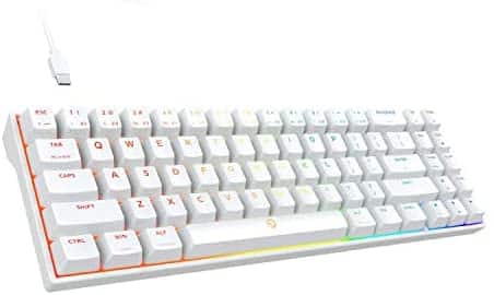 DREVO Calibur V2 TE RGB 60% Wired Mechanical Gaming Keyboard, 71-Key Small Compact, Work for PC/Mac, Detachable USB Type-C, Outemu Brown Switch,White