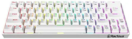 Ractous RTK63 60% Mechanical Gaming Keyboard True RGB Backlit Type-C Wired ABS doubleshot keycap 63Keys Portable Mini Ultra-Compact Keyboard with Full Key Programmable-White (Brown Switch)