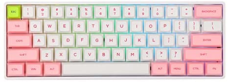 EPOMAKER SKYLOONG SK61 61 Keys 60% Hot Swappable Programmable Mechanical Gaming Wired Keyboard with RGB Backlit, NKRO, Water-Resistant, Type-C Cable for Win/Mac/Gaming (Gateron Optical Brown, Pink)