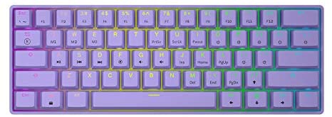 GK61s Mechanical Gaming Keyboard – 61 Keys Multi Color RGB Illuminated LED Backlit Wired Programmable for PC/Mac Gamer (Gateron Mechanical Silent Brown, Lavender)