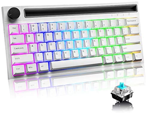 Bluetooth Mechanical Gaming Keyboard with 19 RGB Backlight Mini 61 Key Multimedia Knob Rechargeable 4400mAh Battery Type C Wired/Wireless for PC Mac Mobile Phone Gamer Typist (White/Blue Switch)