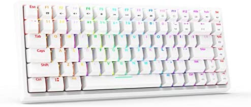 Smart Duck XS-84 75% TKL Wired Mechanical Gaming Keyboard,RGB Music Rhythm LED Backlit N-Key Rollover, BlueSwitch （White）