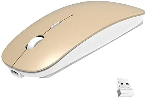 Wireless Mouse,Slim Wireless Portable Mobile Mouse,2.4G Noiseless Mouse with USB Nano Receiver,Rechargeable Wireless Mouse for MacBook,Laptop,PC,Computer,Notebook (Gold)