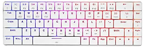 60% Compact RGB Wireless Mechanical Gaming Keyboard, Blue Switches, Bluetooth 5.0, Wired Keyboard 69 Keys for PC Tablet Laptop Cell Phone, White