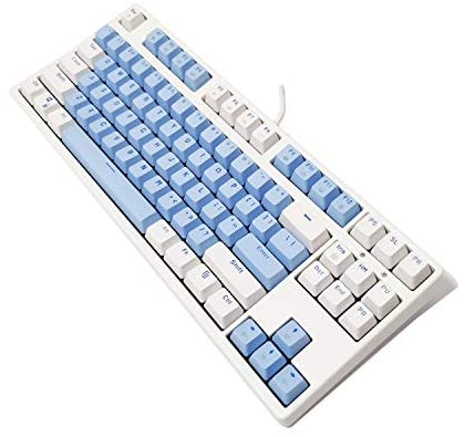 60% Gaming Keyboard 87 Key, RGB Rainbow LED Backlight, Tenkeyless Mechanical Keyboards for Windows and Mac (Black Switches, Blue-White)