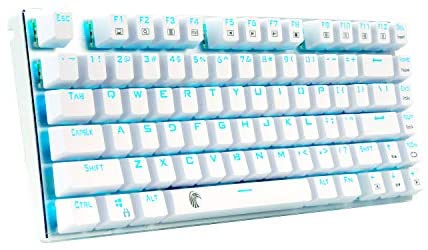 60% Mechanical Gaming Keyboard, E-Yooso Z-88 with Blue Switches, Cyan LED Backlit, Compact 81 Keys Hot Swappable for Mac, PC, White and Silver
