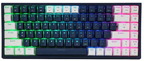 CQ84 Wireless Mechanical Gaming Keyboard, programmable RGB Backlight, Bluetooth 4.0, red Switch, 84 Keys, 60% Wired Keyboard for iPad, Android/Windows Tablet, Laptop, Desktop, White and Blue keycaps