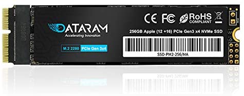 DATARAM 256GB M.2 M-Key PCIe NVMe SSD for 2013-16 MacBook, Mac Pro, Air, Mini, iMac