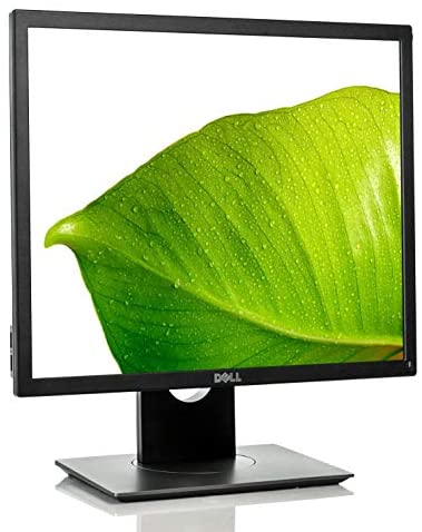DELL 19in P1917S IPS BACKLIT LED LCD 1280X1024 5:4 SCREEN DESKTOP DISPLAY MONITOR (Renewed)