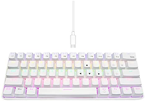 DGG 60 Percent Compact Mechanical Gaming Keyboard,Wired 61 Key RGB Mini Gaming Office Blue Switches Keyboard for Windows/MacOS/Unix/Linux, White