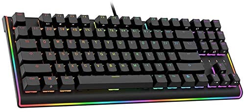 DURGOD K520 Mechanical Gaming Keyboard [Cherry MX Speed Silver Switch] RGB LED Backlit and Illuminated Side Light USB Wired Compact Chassis Design 87 Keys PC Computer Tenkeyless Gamer Keyboard (Black)