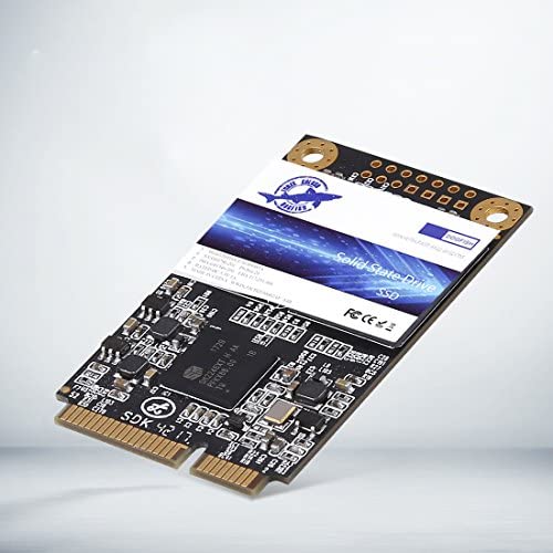 Dogfish Msata 256GB Internal Solid State Drive Mini Sata SSD Disk Drive High Performance Hard Drive for Desktop Laptop Notebook (256GB)
