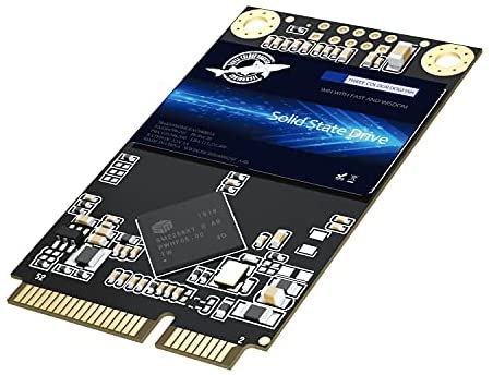 Dogfish mSATA SSD 256GB 3D NAND TLC SATA III 6 Gb/s, mSATA (30×50.9mm) Internal Solid State Drive – Compatible with Desktop PC Laptop – (MSATA 256GB)
