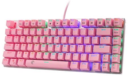 E-YOOSO Z88 60% RGB Mini Mechanical Keyboard, USB Wired Keyboard with Compact 81 Keys (Blue Switch Pink)