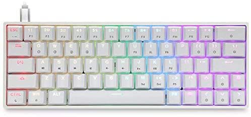 EPOMAKER SKYLOONG SK64 GK64 64 Keys Hot Swappable Mechanical Keyboard with RGB Backlit, ABS Keycaps, Arrow Keys, Programmable for Win/Mac/Gaming (Gateron Optical Red, White)