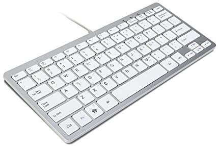 GMYLE Compact Wired USB Mini Keyboard for PC (Metallic Silver and White)