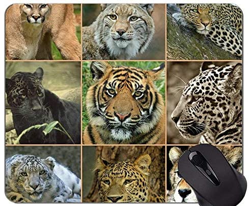 Gaming Mouse Pad Custom,Big Cats Wild Leopard Non-Slip Rubber Base Mousepad