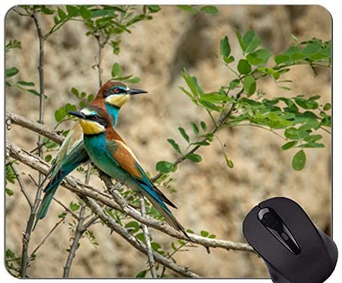 Gaming Mouse Pad Custom,European Bee Eater Gaming Mouse Pads