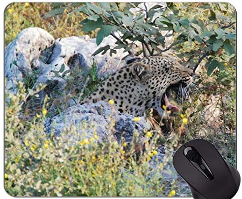 Gaming Mouse Pad Custom,Leopard Wild Leopard Non-Slip Rubber Base Mousepad