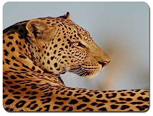Gaming Mouse Pad Leopard Rectangle Non-Slip Mouse Pad Size(9.5″x7.9″)