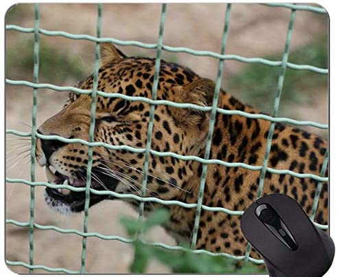 Gaming Mouse Pad,Leopard Wild Leopard Non-Slip Rubber Base Mousepad