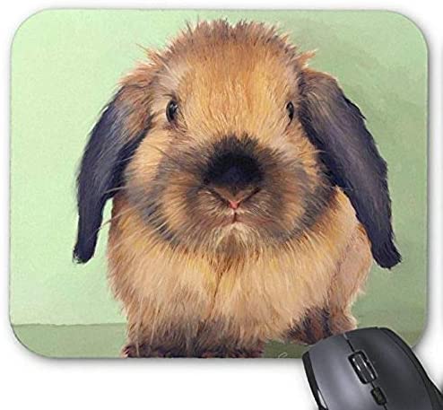 Gaming Mouse pad mousemat Lovely Rabbit Mousepad Series Holland Lop Mouse Pad Bunny Rabbit Mouse Pad Rectangle Mousepads