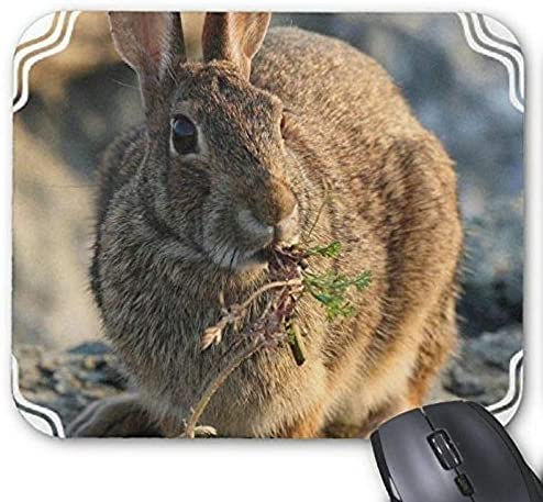Gaming Mouse pad mousemat Lovely Rabbit Mousepad Series Rabbit Eating Mouse Pad Bunny Rabbit Mouse Pad Rectangle Mousepads