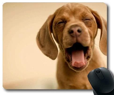 Gaming Mousepads,Shih Tzu Dog Cute Dog,Precision Seaming,Durable Mouse pad