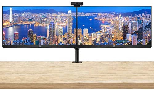 HP P224 21.5 Inch FHD LED-Backlit LCD IPS Anti-Glare Monitor (HDMI, VGA, DisplayPort) 2-Pack Bundle with PW313 Full HD 1080p Live Streamer Webcam and Desk Mount Clamp Dual Monitor Stand