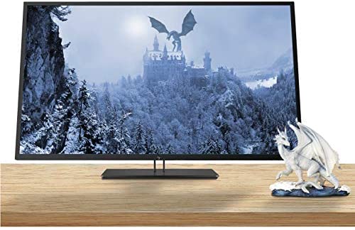 HP Z43 42.5 Inch 4K UHD 3840 x 2160 LED Backlit Gaming Monitor with IPS, Vesa Compatible, Anti-Glare, Tilt and Swivel, Black Pearl (USB-C, HDMI and DisplayPort)