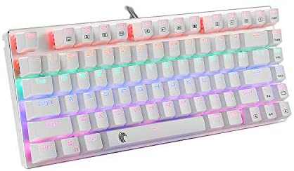 HUO JI 60% Mechanical Gaming Keyboard, E-Yooso Z-88 with Blue Switches, Rainbow LED Backlit, Compact 81 Keys Hot Swappable, Silver and White