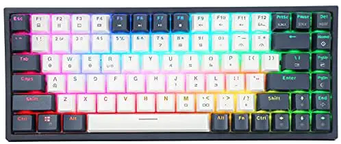 HUO JI CQ84 Mechanical Blue Switch Keyboard Wireless Bluetooth 4.0 RGB Backlit USB Wired Gaming Keyboard Compact 84 Keys for Windows PC Tablet Smartphone (White/Blue)
