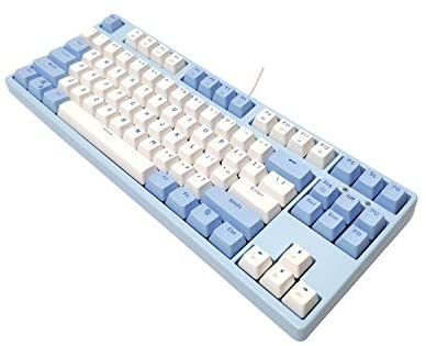 Hayal Tenkeyless Mechanical Gaming Keyboard 87 Key, RGB Rainbow LED Backlight, for Windows and Mac (Black Switch, White-Blue)