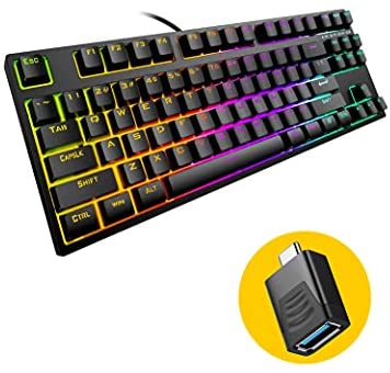 Hiwings HI100 TKL Compact Mechanical Gaming Keyboard, RGB LED Rainbow Backlit 100% 87 Keys Keyboard with Blue Switches,Compatible Windows, Mac with Type C Adapter (Extra OTG) (Renewed)