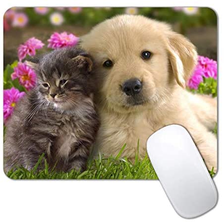 IMAYONDIA Mouse Pad, Golden Retriever Puppy and Kitten Mouse Pad for Kids, Custom Gaming Mouse Pads with Designs for Girls, Portable Women Office Non-Slip Rubber Base Wireless Mouse Pad for Laptop Mat