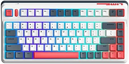 IQUNIX L80 Gaming Keyboard, 2.4G Wireless Mechanical Keyboard with Cherry MX Brown Switch, Compact 83 Keys RGB LED Backlit Hot Swappable Keyboard for Windows/Mac/Android/iOS