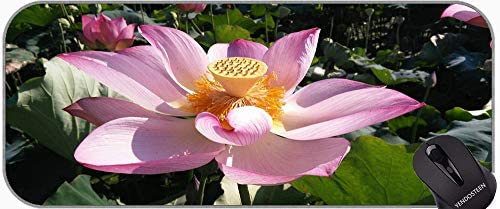 Indian Lotus Flower Leaves XXL Extended Gaming Mouse Pad,Lotus Mouse Pad with Stitched Edges