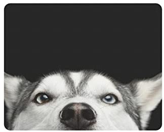 InterestPrint Funny Close Up Head of Siberian Husky Dog with Blue Eyes Rectangle Non Slip Rubber Mouse Pad Gaming Mousepad Mat for Woman Man Employee Boss Work