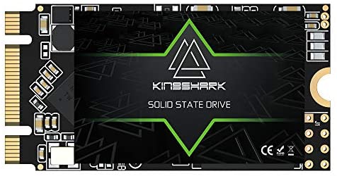 KingShark Gamer SSD M.2 2242 256GB Internal Ngff SSD 42MM SATA III 6Gb/s (256GB, M.2 2242)