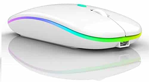 LED Wireless Bluetooth Mouse,Wireless Mouse for MacBook Pro,Wireless Mouse for MacBook Air,Rechargeable Bluetooth Mouse for Mac,MacBook Air, MacBook pro,ipad,ipad Pro (White)