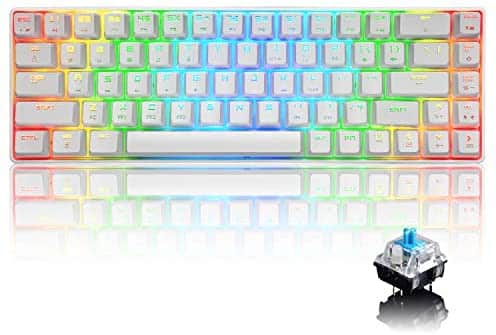 LexonElec MK 68 60% Mechanical Gaming Keyboard,Type-C Wired Computer Keyboard,18 Chroma RGB Backlit Keyboard Blue Switches,68 Keys Anti-ghosting for Laptop PC Gamer(White RGB)