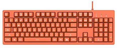 Lomiluskr DKS100 Wired Computer Keyboard 104 Keys with Mechanical Feel, White Backlight, 19 Anti-Ghosting Keys Gaming Keyboard (Orange)