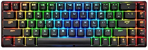Mechanical Gaming Keyboard 18 Chroma RGB Backlit Keyboard with Type C Blue Switches 68 Keys Anti-ghosting Wired Gaming Keyboard for PC/Mac Gamer, Typist, Tactile(Black RGB)
