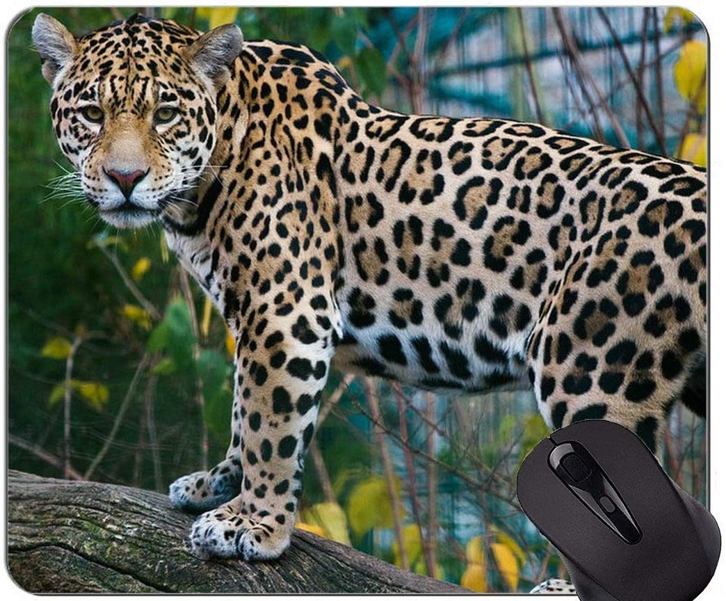 Non-Slip Rubber Gaming Mouse Pad,Animal World Leopard Mouse Pad with Stitched Edge