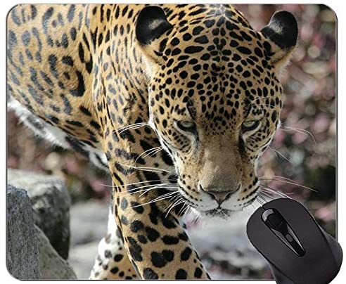 Non-Slip Rubber Gaming Mouse Pad,Jaguar Leopard Mouse Pad with Stitched Edge